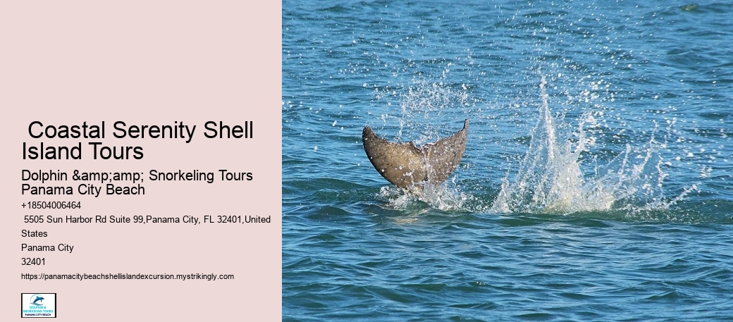  Some Of The Areas That Get A Lot Of Foot Traffic Will Have Fewer Shells