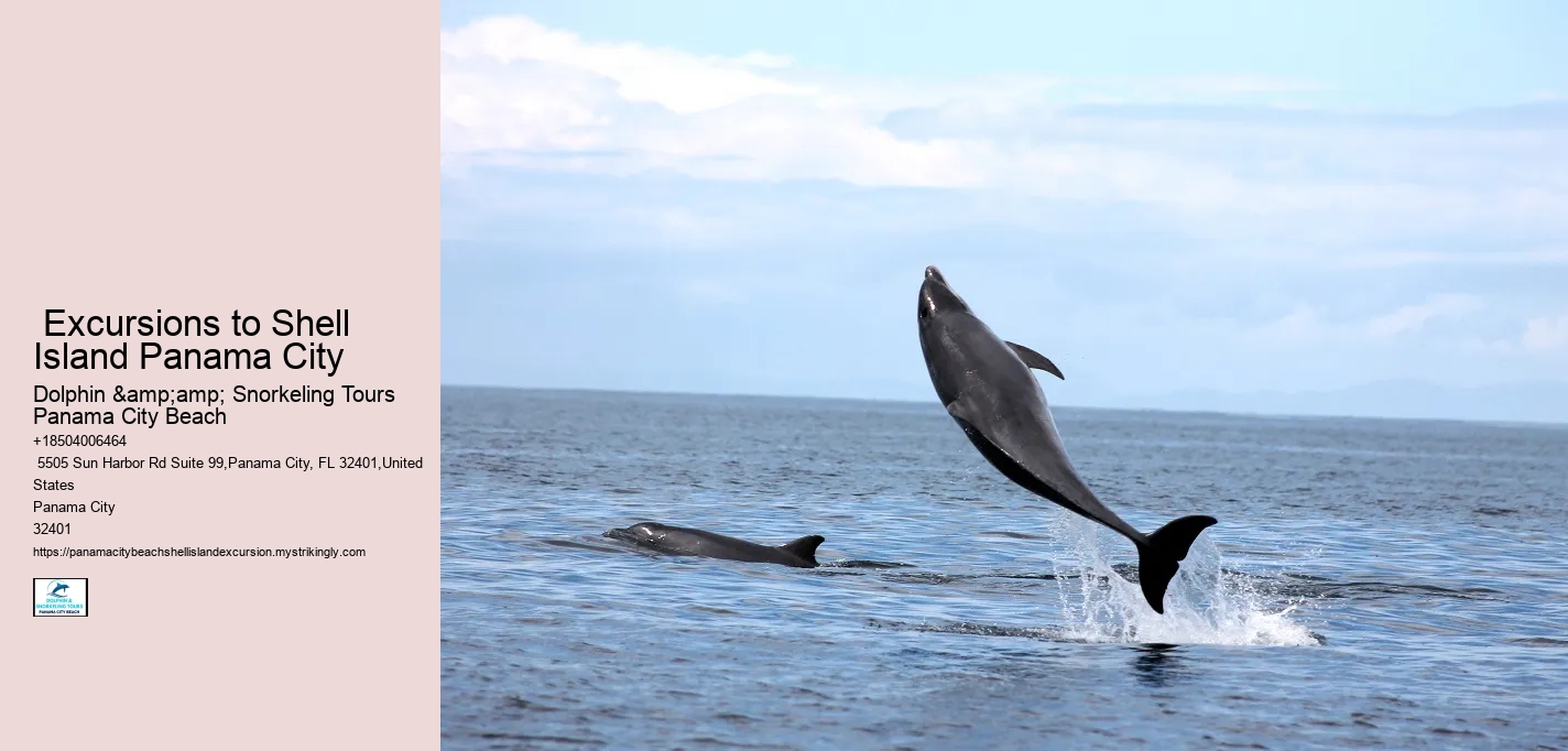  Excursions to Shell Island Panama City