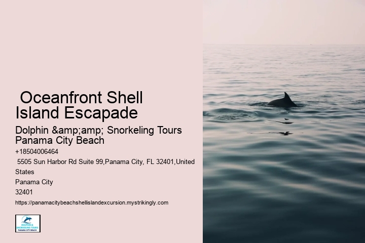  Oceanfront Shell Island Escapade