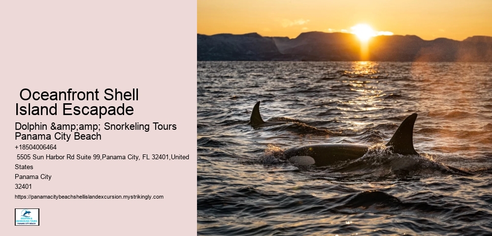 Also Some Aqua And Blue