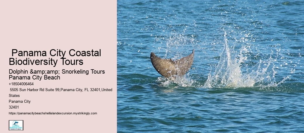  Shell Island Panama City Beach