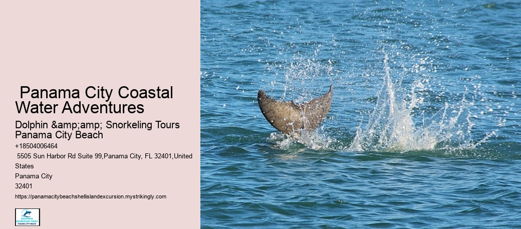  What Is Special About Shell Island