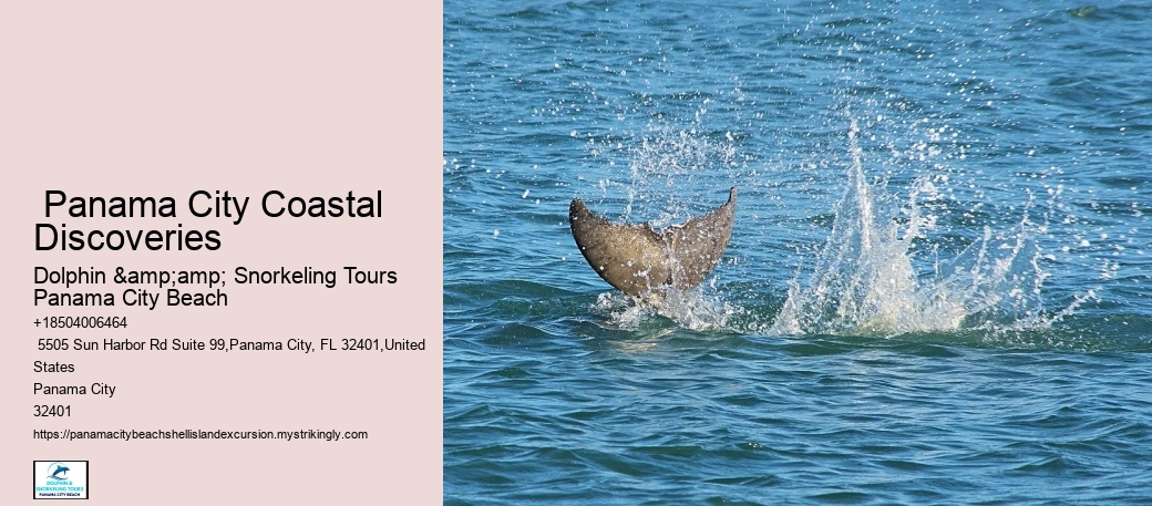  Panama City Coastal Discoveries
