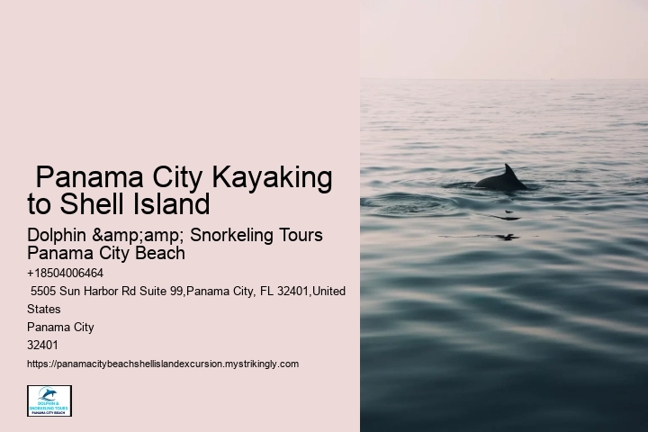  Panama City Kayaking to Shell Island