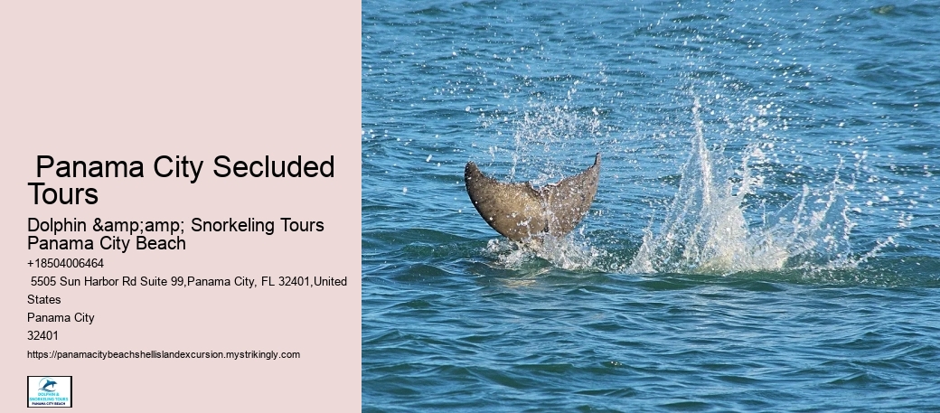  Shell Island Boat Tours Panama City Beach Fl